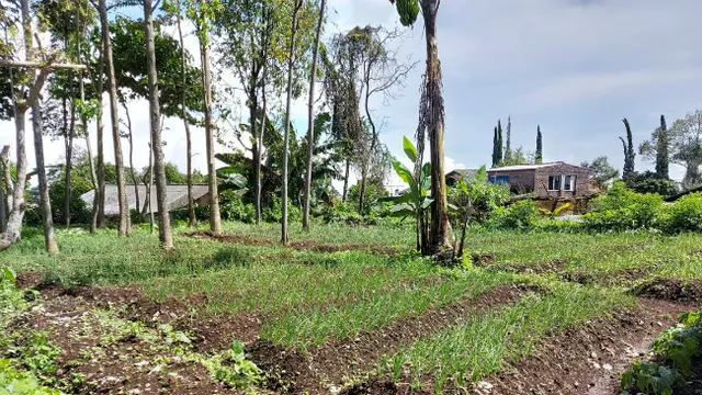 (Foto: Dok Istimewa)