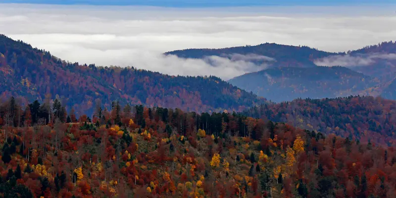 20151103-Warna-warni Musim Gugur Hiasi Deretan Pegunungan Vosges Prancis