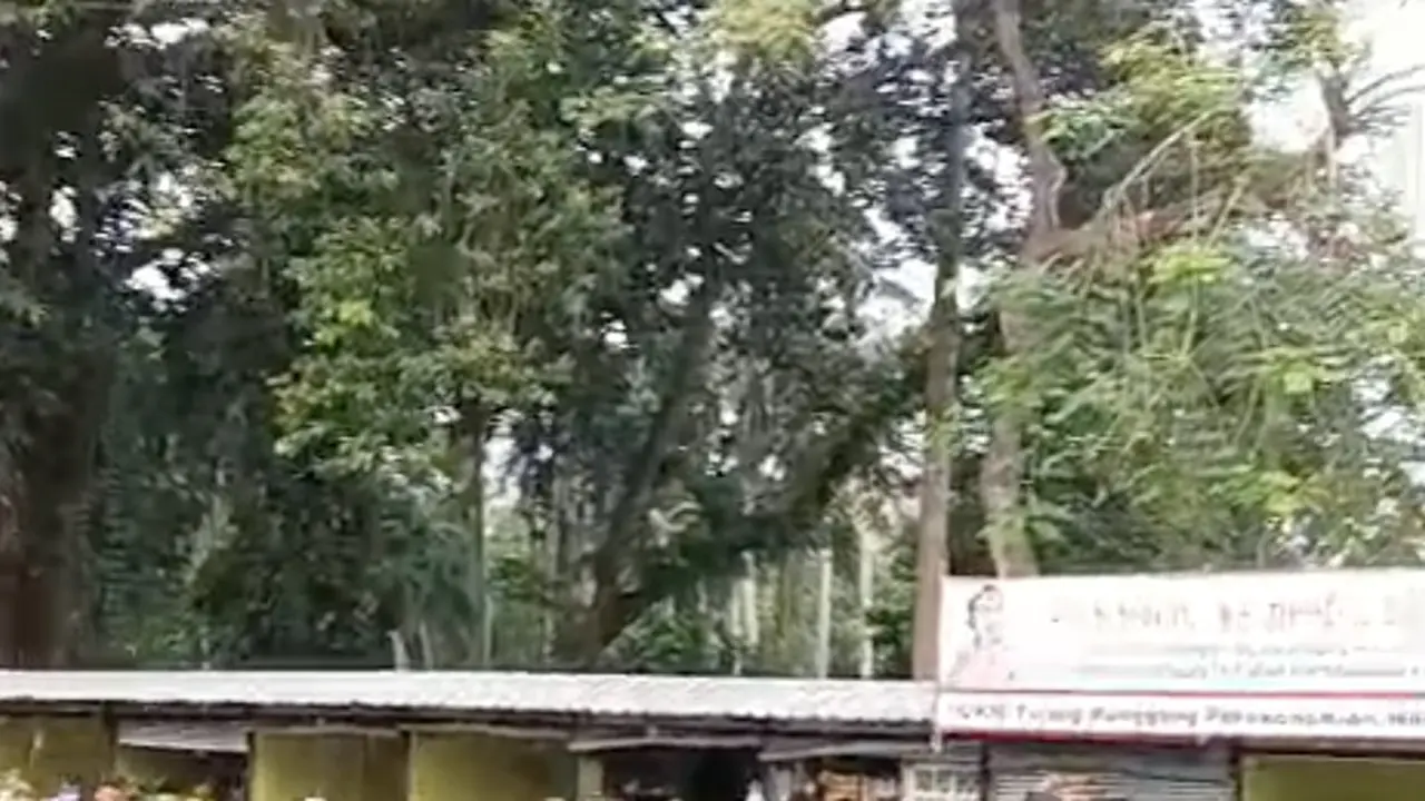 Penertiban Pasar Barito