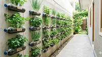 8 Ide Lorong Samping Rumah yang Bisa Menghasilkan Panen Harian, Dapur Selalu Punya Stok Sayur Segar