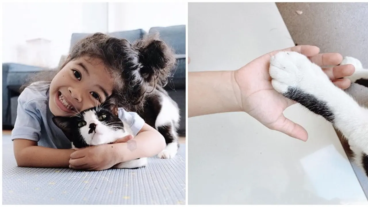 6 Potret Persahabatan Kinar dan Kucing Bernama Poco, Kisahnya Pernah Viral
