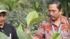 liputan6