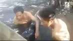 Aksi penyelamatan empat ekor Paus yang tersangkut di pohon bakau di Desa Nambo, Kec. Lasalimu Selatan, Kab. Buton, Sulawesi Tenggara. Diperkirakan Paus tersangkut saat sedang mencari makan sampai ke perairan dangkal. Seluruh Paus yang tersangkut berh...