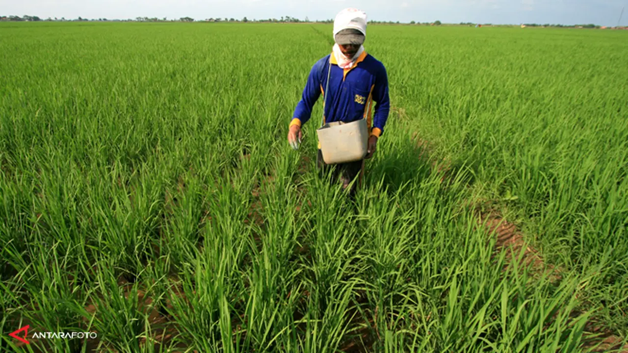 lahan-petani-130610b.jpg