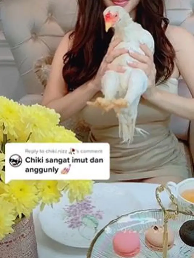 6 Momen Chef Vindy Lee Rayakan Ulang Tahun Ayam Peliharaannya, Siapkan Kue Stroberi