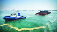 Sentimen Commodity Supercycle Dongkrak HBA Februari ke USD87,79 per Ton
