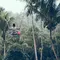 Saat Video Pendek Mengubah Cara Wisatawan Indonesia Merencanakan Liburan