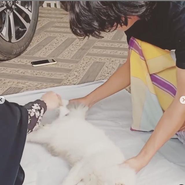 6 Momen Haru Umi Pipik Kuburkan Kucing Usai Kecelakaan, Bikin Tersentuh