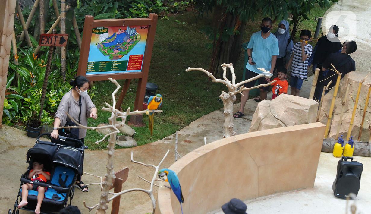 Wisatawan melihat burung di tempat wisata kawasan Ancol, Jakarta, Minggu (8/1/2023). Saat ini kinerja sektor pariwisata dan ekonomi kreatif pada 2023 dihadapkan dengan target yang cukup tinggi. Kunjungan wisman diharapkan mencapai angka 7,4 juta dan wisatawan nusantara mencapai 1,2-1,4 miliar pergerakan. (Liputan6.com/Angga Yuniar)