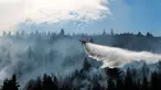 Sebuah pesawat menjatuhkan air untuk memadamkan kebakaran hutan di Epuyen, Patagonia, Argentina, Minggu 11 Januari 2026. Upaya pemadaman kebakaran hutan di wilayah Epuyen dan sekitarnya di Provinsi Chubut, Patagonia, Argentina, terus berlanjut. (AP Photo/Nicolas Palacios)