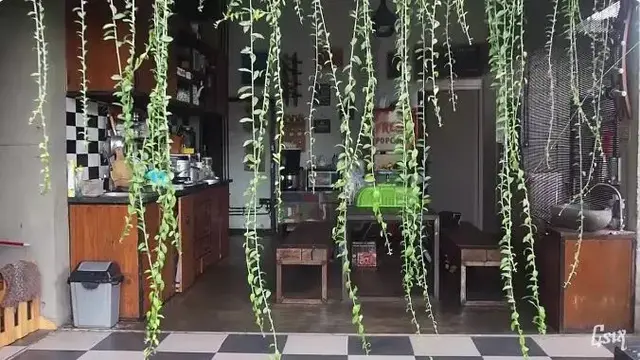Ada Tanaman Rambat, Dapur Jadi Lebih Hidup