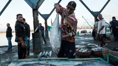Seorang pria memuat ikan ke atas kapal motor di Pelabuhan Perikanan Samudera Lampulo, Banda Aceh, pada 27 Desember 2024. (Yasuyoshi CHIBA/AFP)