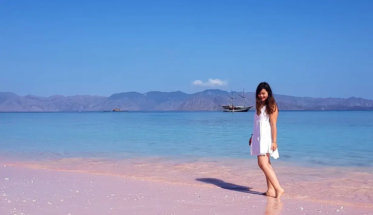 Olivia Sumargo memiliki jiwa petualang yang besar. Gunung dan pantai menjadi dua tempat favorit Olivia. Momen Olivia saat menikmati keindahan pantai ini curi perhatian. Ia terlihat begitu senang bisa melepas penat di pantai dengan pemandangan indah. (Liputan6.com/IG/@oliviasumargo)
