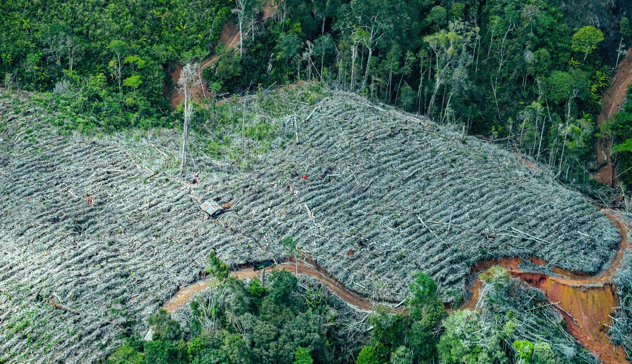 Banjir dan longsor juga merusak jalan-jalan utama dan jembatan yang ada di Kabupaten Bener Meriah, Aceh. Tampak dalam foto, sebuah kawasan terlihat rusak akibat banjir bandang di Kabupaten Bener Meriah, Provinsi Aceh, pada Kamis 4 Desember 2025. (CHAIDEER MAHYUDDIN/AFP)