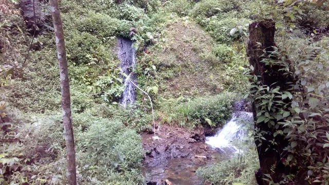 Nampak air paralon cai kahuripan di sela-sela bebantuan kawasan Karacak Valley