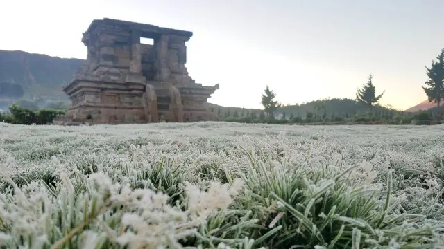 Embun es di Dataran Tinggi Dieng. (Foto: Liputan6.com/UPT Dieng/Muhamad Ridlo)