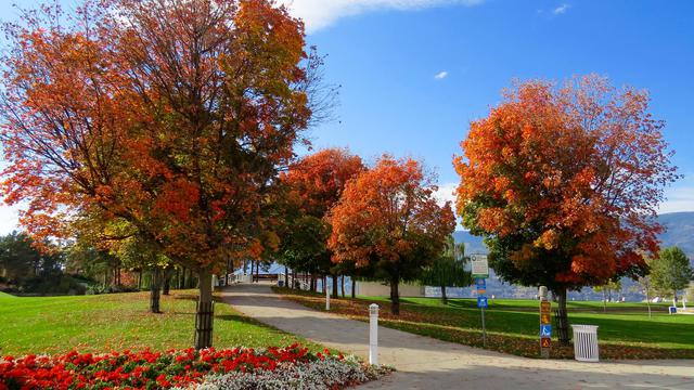 Pengelolaan sampah negara maju
