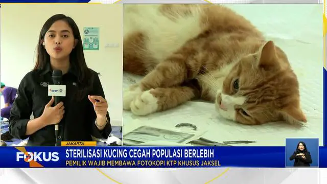 Fokus : Pencari Kerja di Purwakarta Ramaikan Job Fair