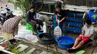 Nursalim  (baju hitam)mengemas ikan koi hasil budidaya untuk dijual ke luar kota Jember (Istimewa)