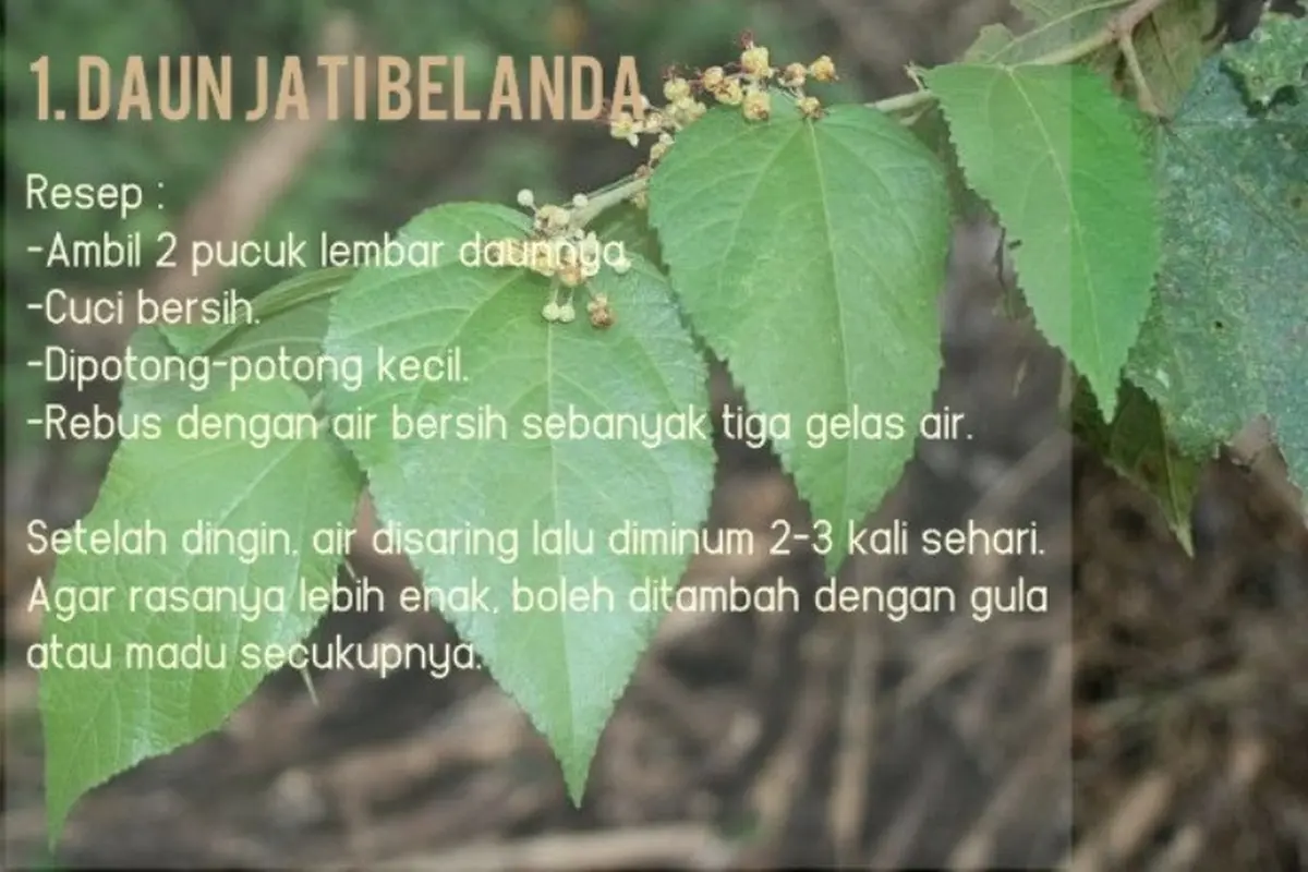 Ingin Tubuh Langsing dan Ideal, Raih dengan 9 Bahan Alami Ini