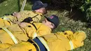 Sejumlah petugas damkar beristirahat setelah berusaha menjinakkan kebakaran yang disebut Lilac Fire di Bonsall, California, Jumat (8/12). Kebakaran yang menghebat karena angin Santa Anna melanda wilayah-wilayah di sepanjang pantai Pasifik (Robyn Beck/AFP)