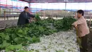 Peternak memberi makan ulat sutra dengan daun murbei di Desa Xidong, Kaihua, Provinsi Zhejiang, China, 21 Oktober 2020. Pada akhir 2020, produksi sutra di desa tersebut diperkirakan mencapai 22.500 kilogram, yang dapat meningkatkan pendapatan peternak hampir 1 juta yuan (1 yuan = Rp2.199). (Xinhua)