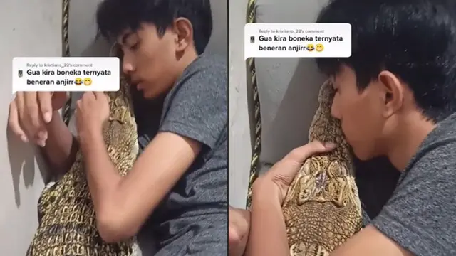 Viral Pria Pelihara Buaya dan Diperlakukan Bak Anak Sendiri, Warganet Kira Boneka