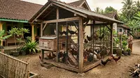 Rangka Kandang Ayam dari Kayu dan Besi Kombinasi Kuat, Estetis, dan Tahan Lama