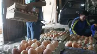 Pekerja mengankat peti telur ayam diagen, Jakarta, Senin (27/3). Pemerintah dinilai lamban mengatasi kondisi kelebihan pasokan ayam hidup dan telur, menyebabkan harga jatuh di tingkat peternak. (Liputan6.com/Angga Yuniar)