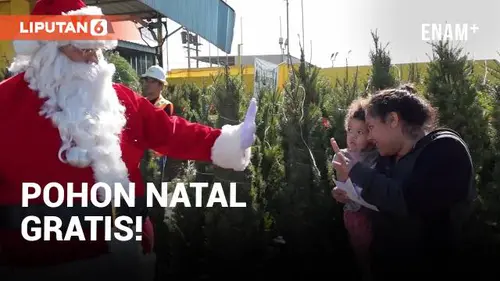 VIDEO: Pohon Natal Gratis, Ditukar Sampah Daur Ulang