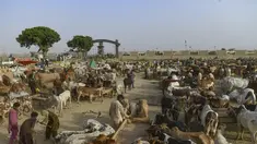 Pemandangan umum pasar ternak menjelang festival Muslim Idul Adha, di pinggiran Karachi pada 19 Juni 2023. (AFP/Asif Hassan)