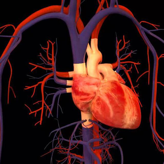 Begini Proses Pasang Stent Jantung Yang Bisa Larut Dalam Darah Health Liputan6 Com