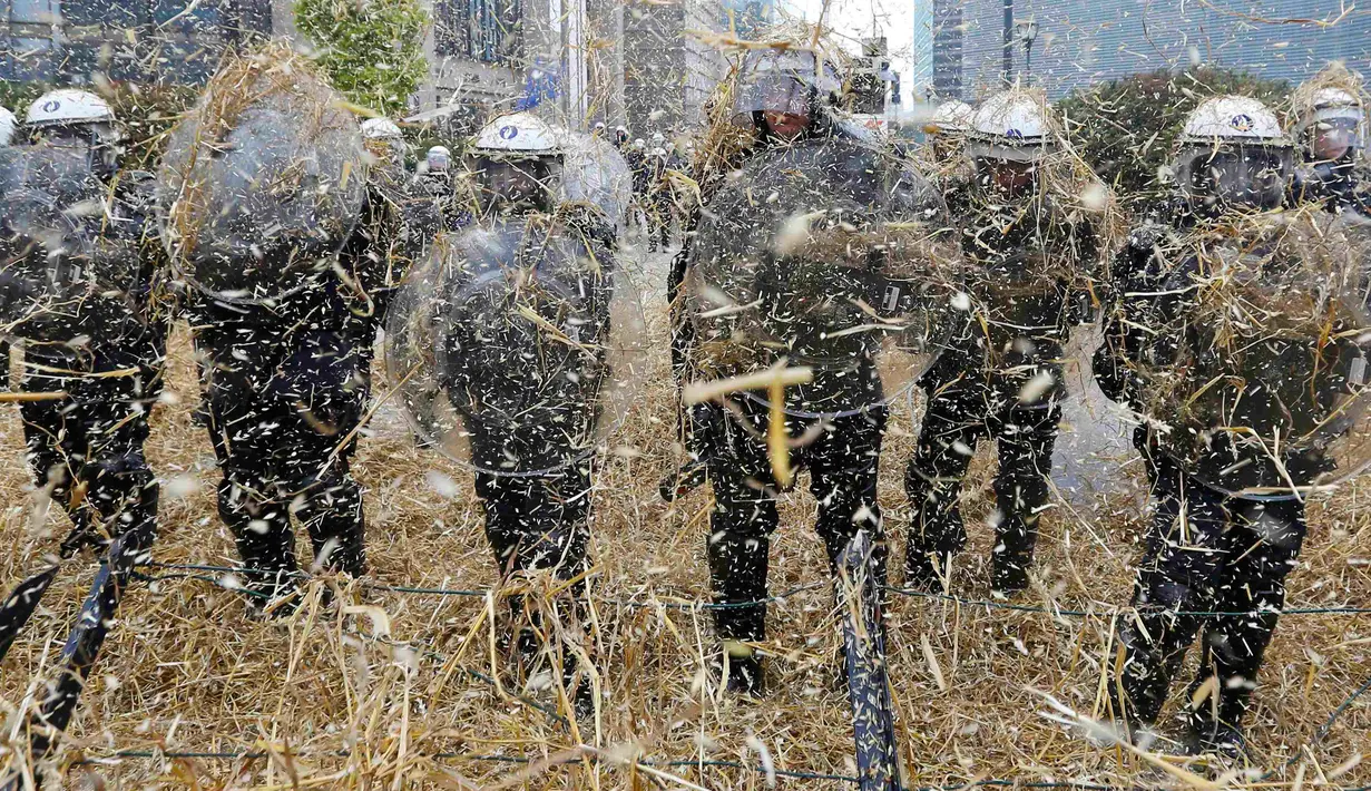 Polisi dilempari jerami oleh peternak dan petani yang melakukan aksi protes saat pertemuan Menteri-menteri Eropoa di Brussels, Belgia, 7 September 2015. Aksi tersebut menuntut bantuan harga murah dan biaya yang tinggi. REUTERS/Yves Herman)
