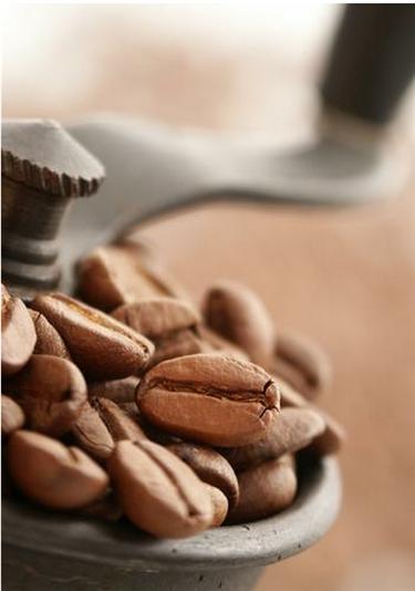 Foto: Copyright FoxRiverCoffee