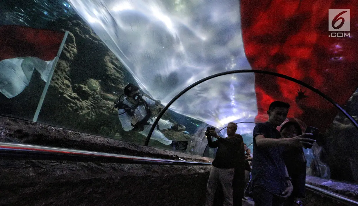 Penyelam membentangkan bendera Merah Putih untuk memperingati HUT Ke-73 Republik Indonesia di Seaworld Ancol, Jakarta, Jumat (17/8). Pengibaran bendera melibatkan para penyelam profesional dan artis peran Marsha Aruan. (Liputan6.com/Faizal Fanani)