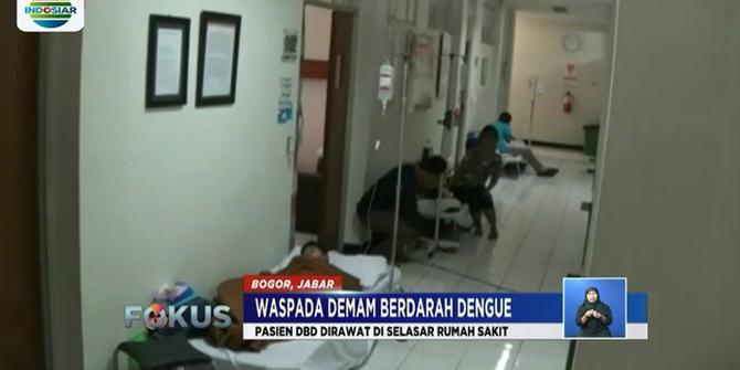 DBD Mewabah di Bogor, Pasien Terpaksa Dirawat di Selasar Rumah Sakit