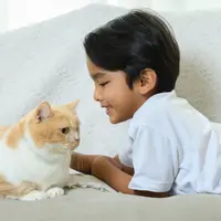 Penasaran apa saja yang perlu diketahui saat bepergian dengan anabul? Simak selengkapnya berikut ini.