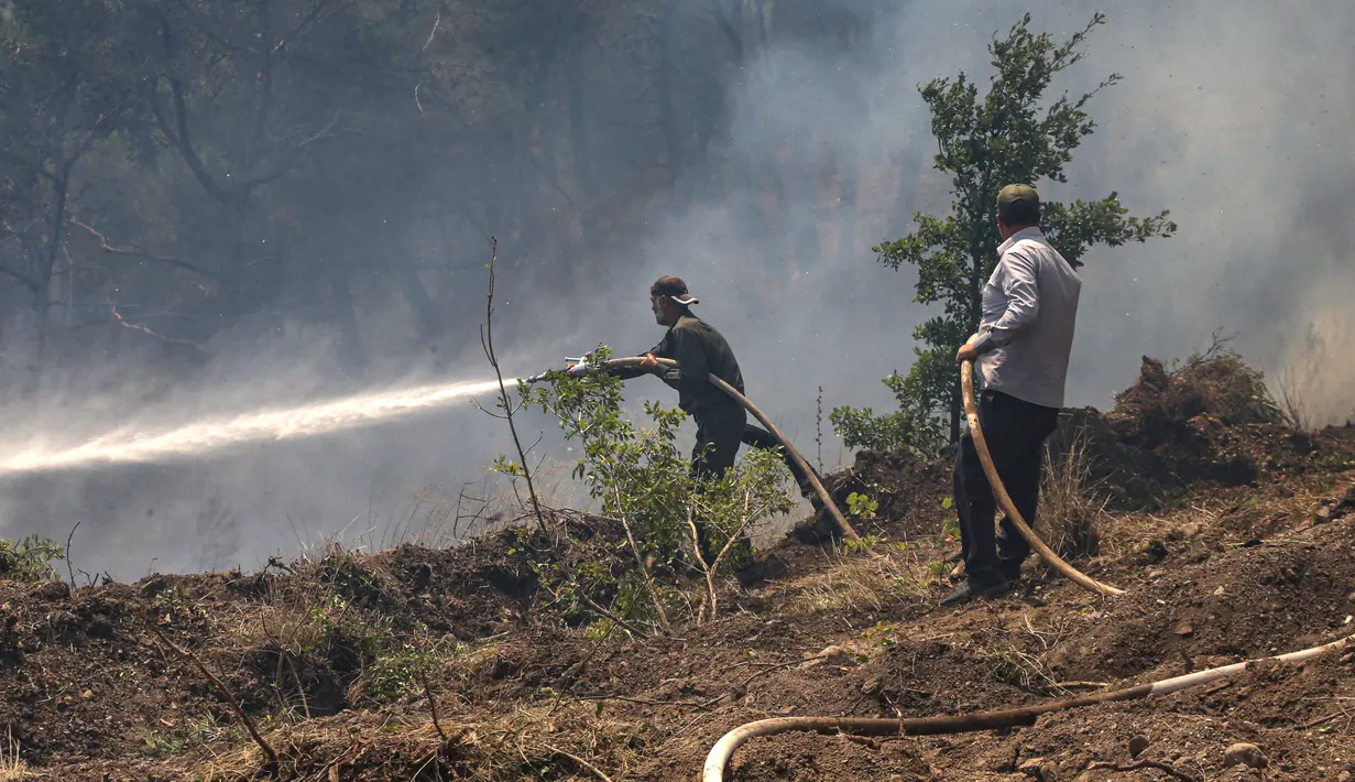 Anggota tim pemadam kebakaran berusaha memadamkan kobaran api di hutan di bagian utara provinsi Latakia Suriah pada 29 Juli 2023, saat kebakaran hutan yang terjadi di tengah suhu yang melonjak beberapa hari lalu terus melanda daerah tersebut. (LOUAI BESHARA / AFP)