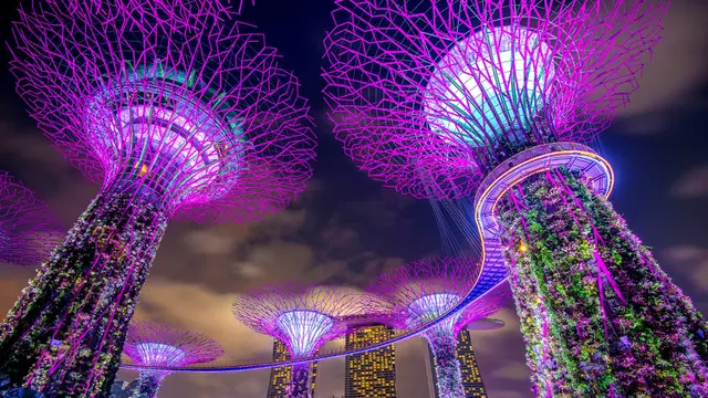Gardens by the Bay, Singapore