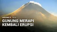 Gunung Merapi pada Sabtu siang kembali erupsi. Secara fluktuatif sepanjang 24 jam terakhir, Gunung Merapi erupsi 11 kali.