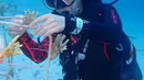 Penyelam melakukan transplantasi terumbu karang di Pulau Pangempa, Kepulauan Togean, Kamis (6/9). PT Pertamina (Persero) Region Sulawesi bersama Balai TNKT melakukan transplantasi sebanyak 5.600 bibit karang. (Liputan6.com/Pool/Pertamina)