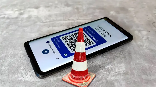 Ilustrasi sertifikat vaksin digital (pixabay)