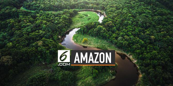 VIDEO: Ilmuwan Sebut Amazon Bukan Paru-Paru Dunia