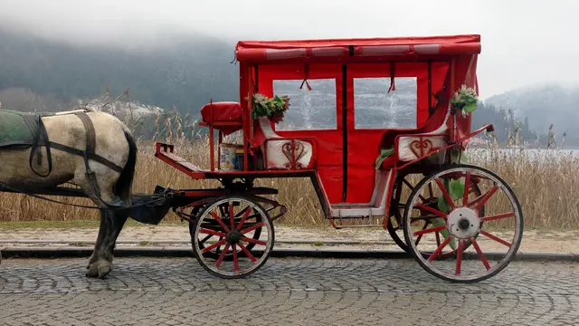 Arti Mimpi Naik Delman bersama Orang yang Kita Kenal