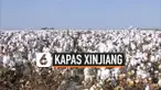 THUMBNAIL KAPAS