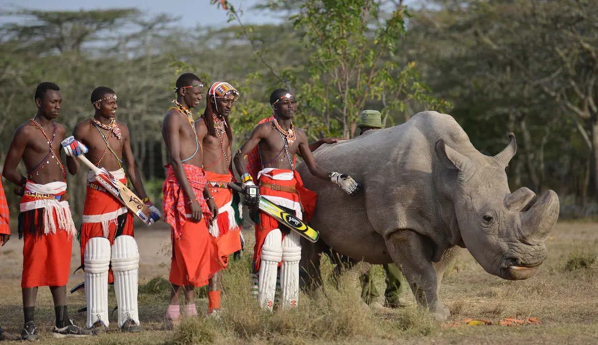 Suku Maasai foto bersama dengan seekor badak putih setelah pertandingan amal kriket di kaki Gunung Kenya (18/6). Pertandingan amal ini digelar untuk meningkatkan kesadaran akan nasib badak putih yang hampir punah. (AFP Phoo/Tony Karumba)