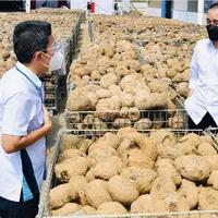 Modal bertani tanaman porang/dok. Instagram @Jokowi