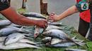 Pedagang ikan bandeng melayani pembeli di Rawa Belong, Jakarta, Jumat (20/1/2023). Penjual bandeng musiman ini menjual daganganya jelang perayaan Imlek yang dijual dengan harga mulai dari Rp. 50.000 hingga Rp. 90.000 per kilonya. (Liputan6.com/Angga Yuniar)