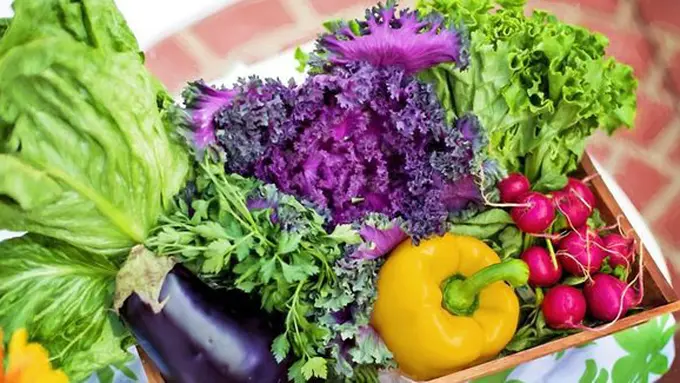 Makanan saat menyusui/copyright Pixabay.com