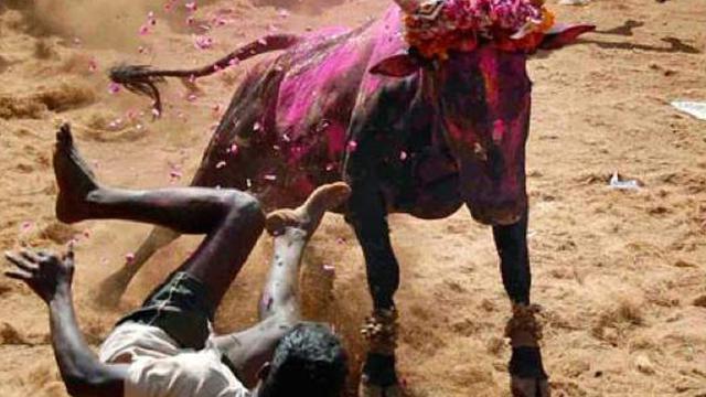 5 Ritual di India yang Membuat Anda Ternganga